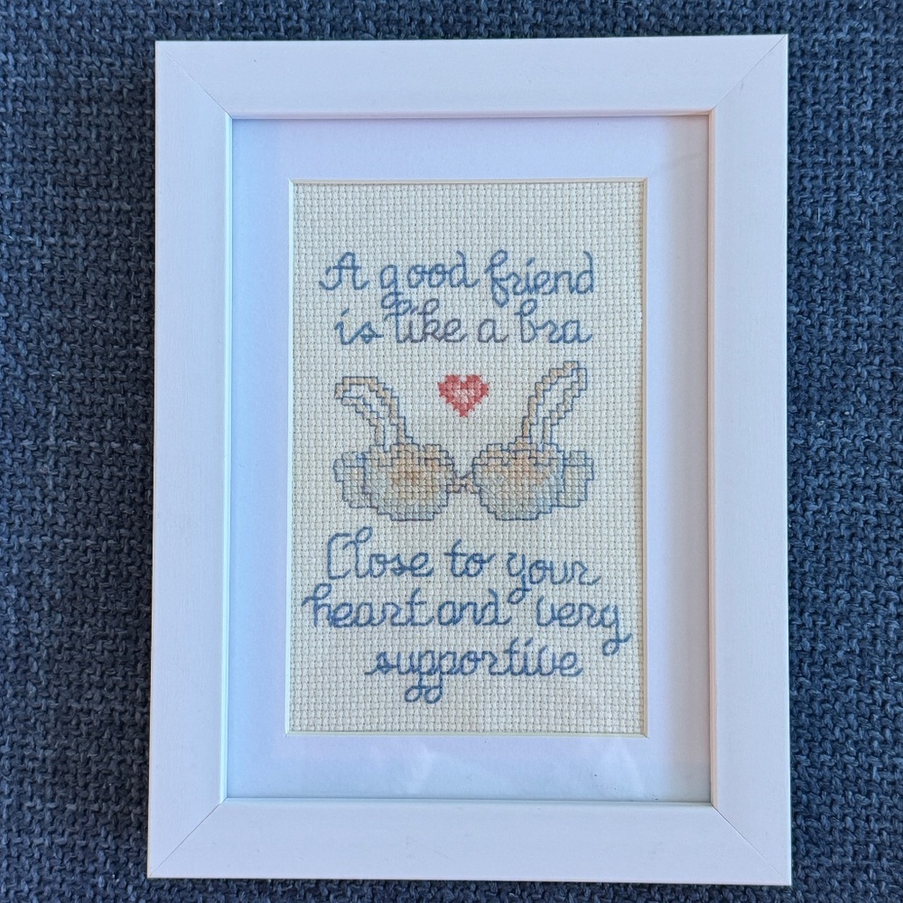 Framed Needlepoint Art Cottagecore Humour - A Good Friend Is Like a Bra - Picture 1 of 7